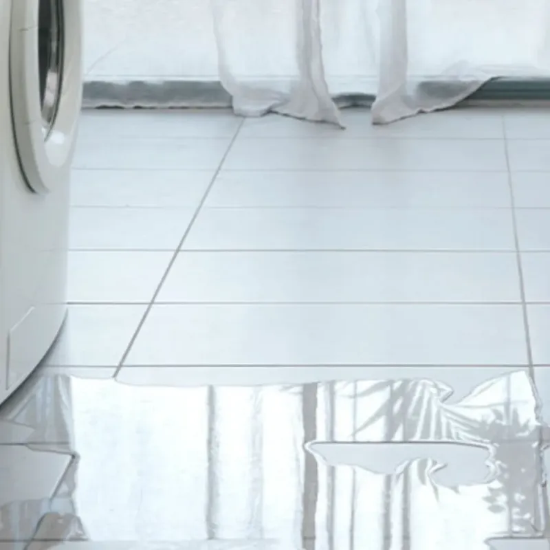 Appliance Leak Cleanup in Daphne, AL